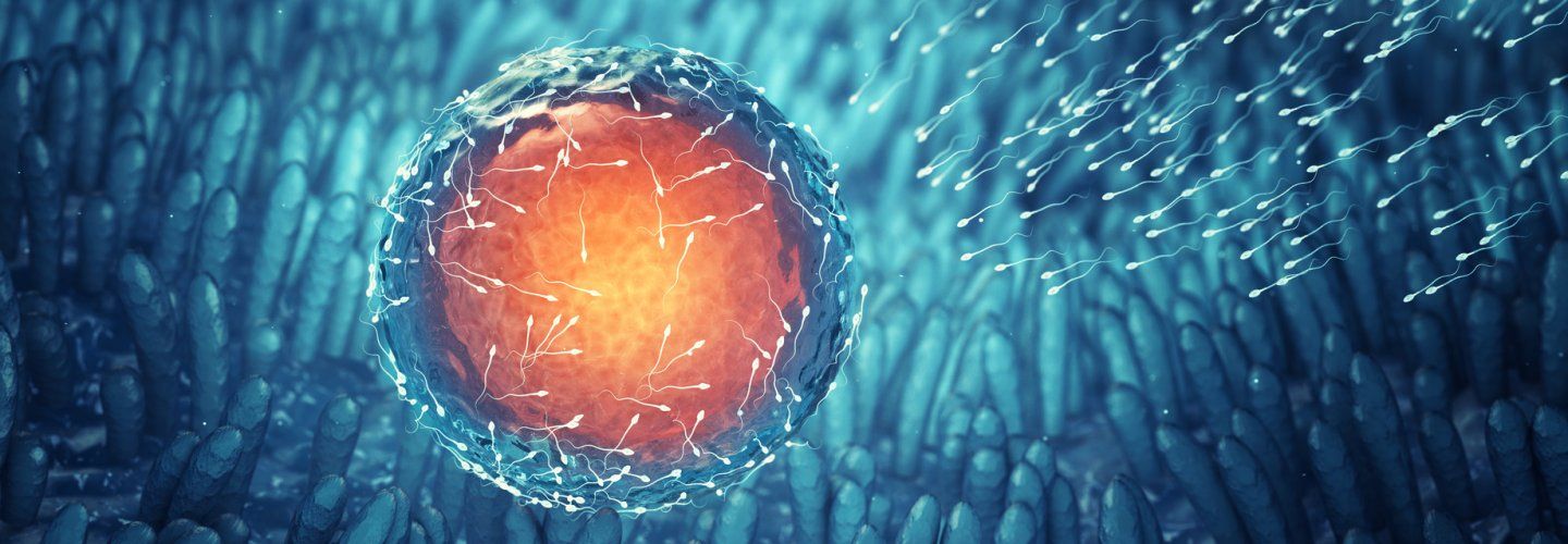 Sperm Retrieval in Azoospermic Subjects (TESE/TESA)