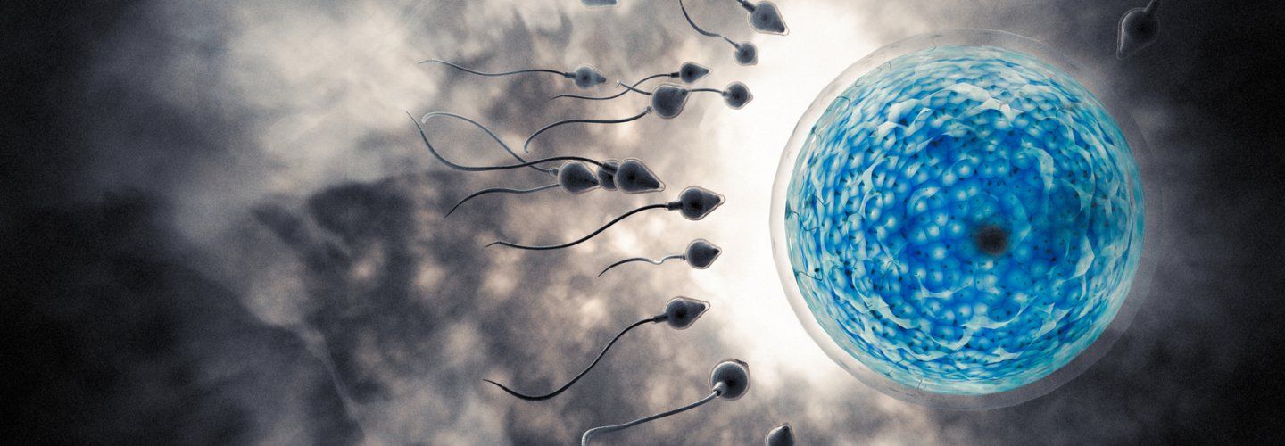 Reasons for Cancellation of Treatment