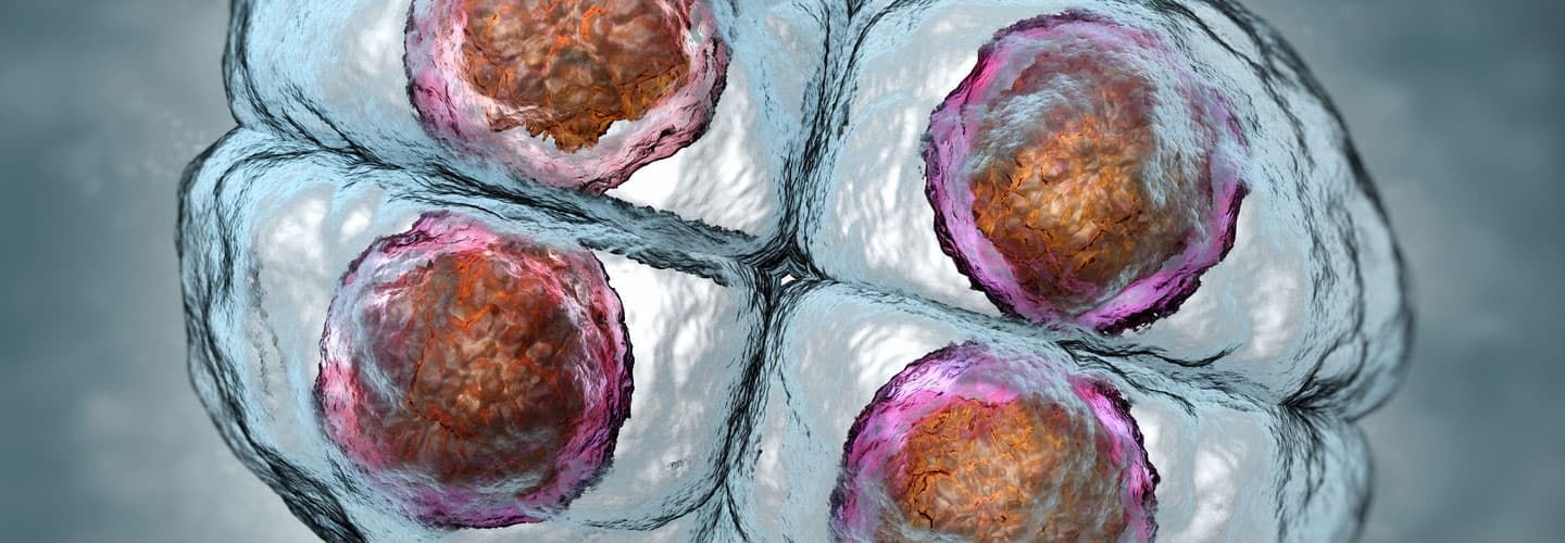 Comprendre le Diagnostic Préimplantatoire et le Diagnostic Préimplantatoire