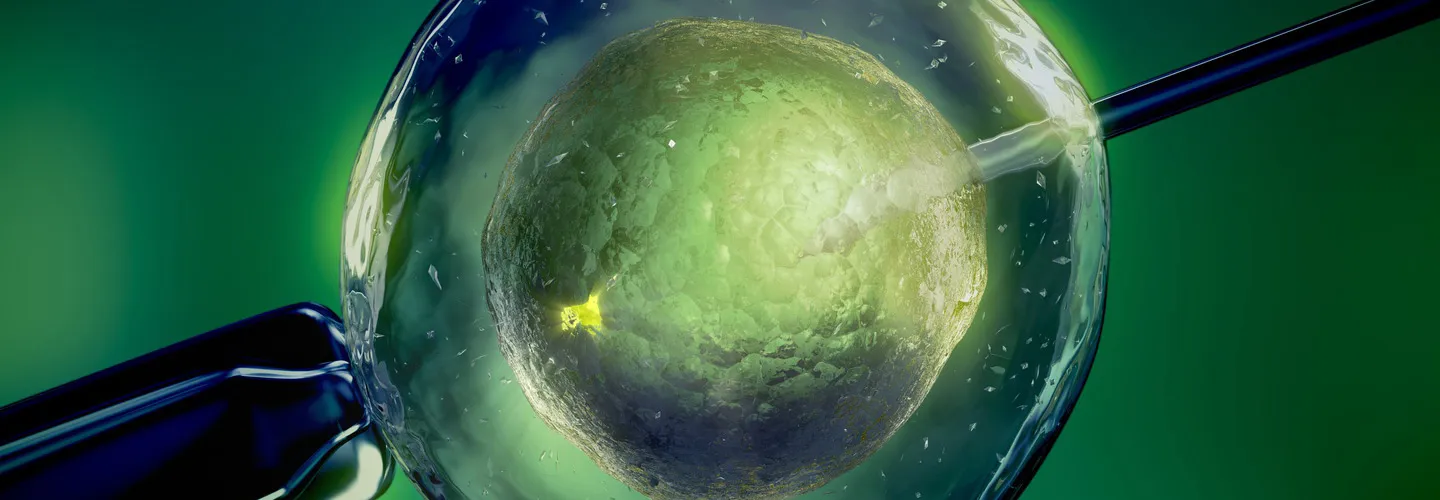 Understanding the challenges, The causes and consequences of IVF failure