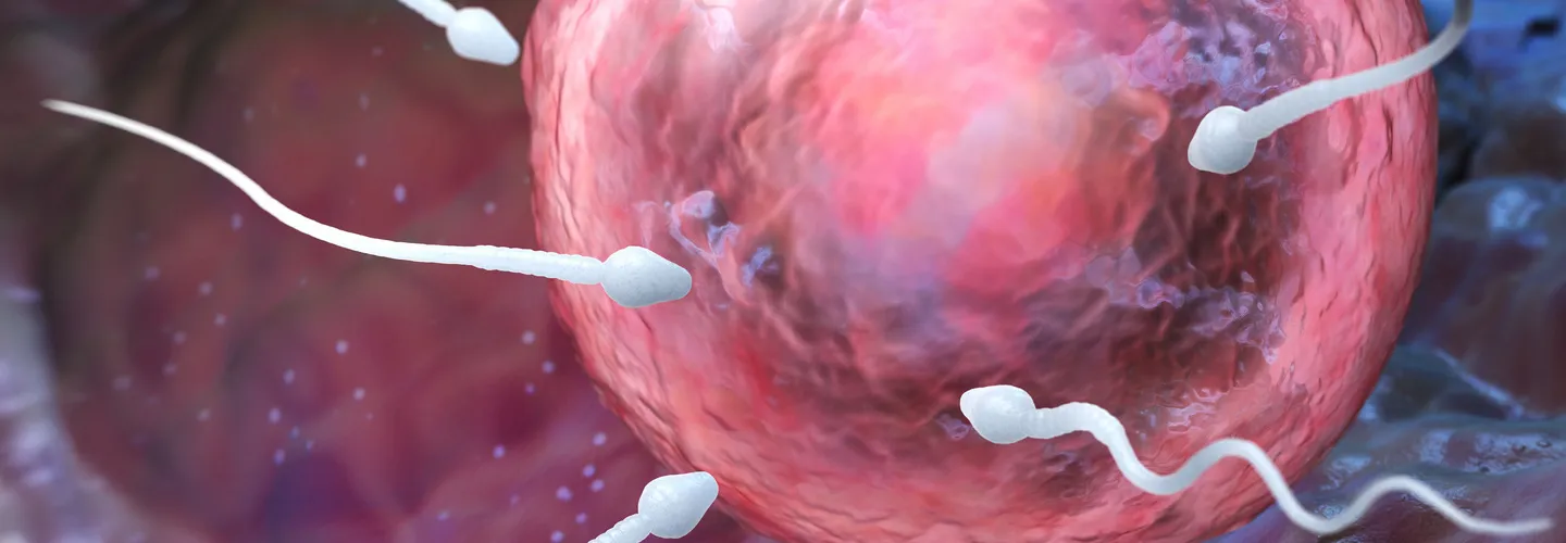 Unlocking IVF Success, A Comprehensive Guide to Key Influencing Factors